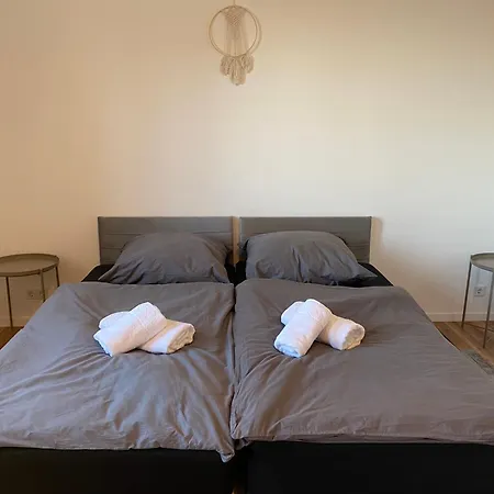 Hochwertige Ferienwohnung Mit 7Qm Balkon, Netflix, Kaffeeautomat, Rainshower Bad Zwickau Exterior photo